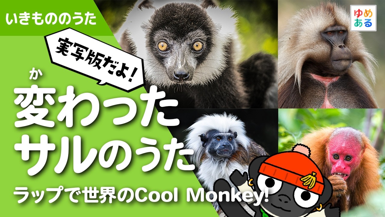 【実写版】変わったサルのうた🐵 ～ラップで世界のCool Monkey!～