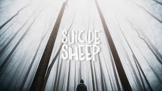 R3hab - Trouble (feat. VÉRITÉ) (Acoustic)