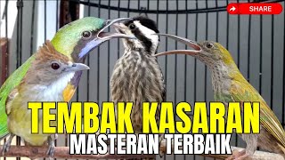 Download lagu ADU MATERI TEMBAKAN KASARAN!! KASARAN & JERITAN - CUNGKOK PIJANTUNG SAMPIT KAPAS TEMBAK mp3
