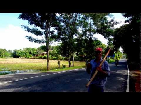 Punchi Haamu - පුංචි හාමූ පුංචි හාමූ