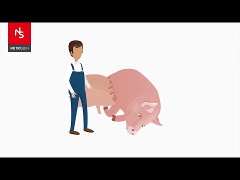 OctubreNutrisuin Version5