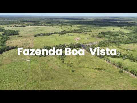 Fazenda Boa Vista, Araguanã-MA