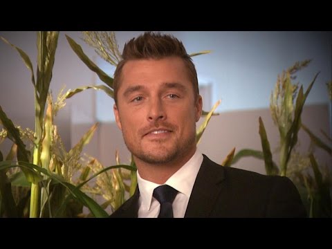 Latest in 'Bachelor' Star Chris Soules' Fatal Crash