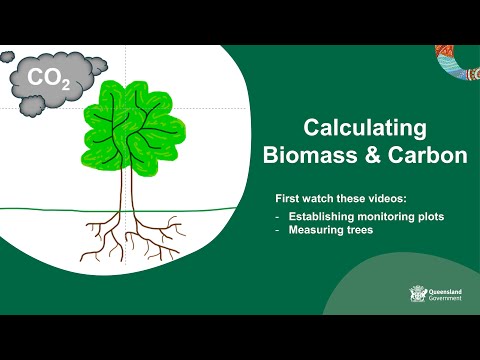 Calculating biomass and carbon