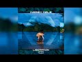 Karsh Kale - Letting Go (Official Audio)
