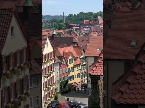 I never feel bored to hear a #church #bells #sound #oldtown #germany #shortsvideo