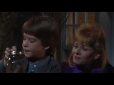 Mr Belvedere S03E19
