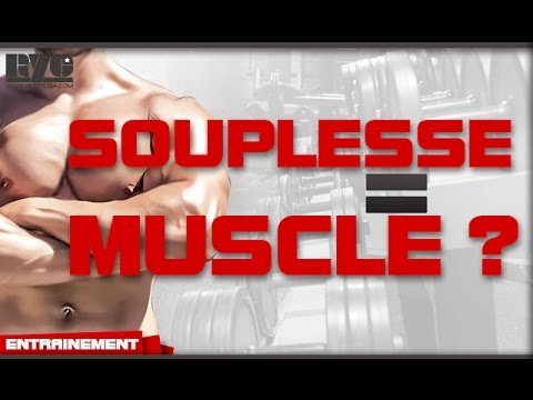 comment poser musculation