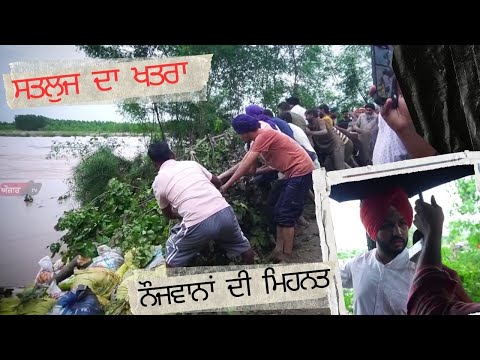 ਸਤਲੁਜ ਦਾ ਖਤਰਾ | ਨੌਜਵਾਨਾਂ ਦੀ ਮਿਹਨਤ | Sri Chamkaur Sahib Flood Update | Ropar