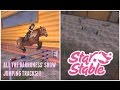 Star Stable Online: The Baroness' first, second ...