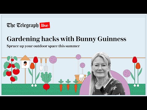 A beginner's guide to gardening with Bunny Guinness