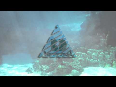 B4SSdrop - Here to Stay ft, Sanna Hartfield (Original Mix)