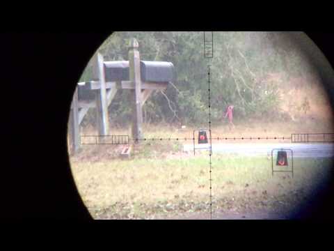 Airforce Condor SS, 70/80 yd plinking