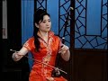 Chinese Music - Erhu Solo - Yu Bei Ballad