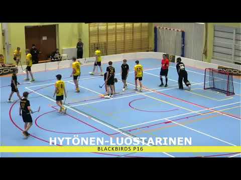 Maalikooste P16 1-div Blackbirds- Westend Indians 6.2.2024