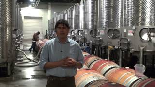 Mira Winemaker Gustavo Gonzalez explains Racking