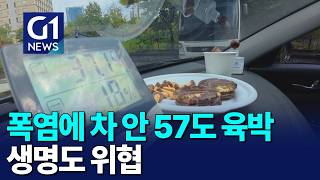 [G1뉴스]무더위 차량 금세 57도..생명 위협