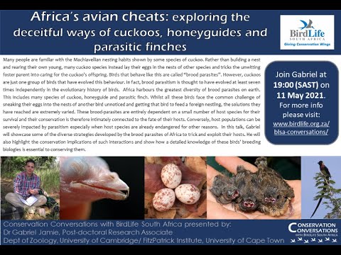 Conservation Conversations: Dr Gabriel Jamie - Brood Parasites of Africa (11May21)