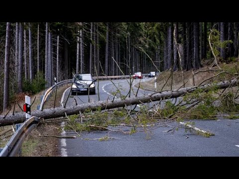 Warum heißt das Sturmtief Sabine? 50.000 in Bayern ohne Strom