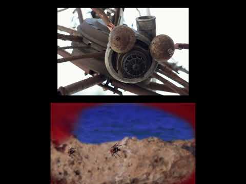 Recuerdos de Atrapados, La Habana 2022.