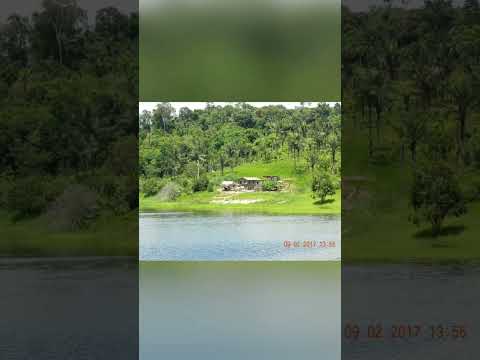 Uarini. Viagens pela Amazônia #caminhoparaumavidamelhor