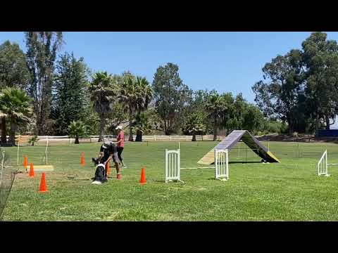 08/11/20: USDAA@Home - Relay