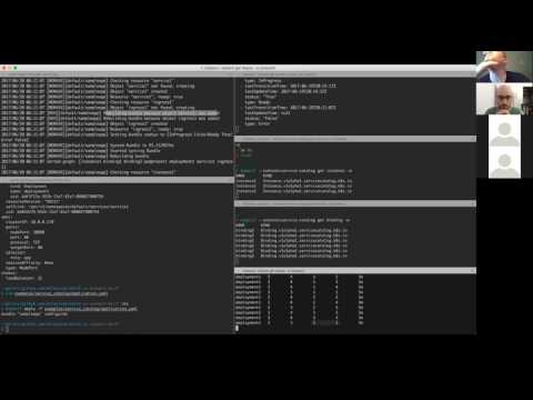 Kubernetes SIG Service Catalog 20170619