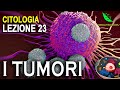 TUMORS ORIGIN RISK FACTORS And PREVENTION Cytology Lecture 23