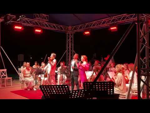 Provincialii și Zaga Zaga band, show de clasă la nunta fetei/ botezul nepoatei fondatorului trupelor