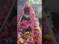 Mouna Guru Siddhar Samadhi Sirappu Vazhipaadu Thiruvottiyur Chennai 600019 Chennai Siddhar