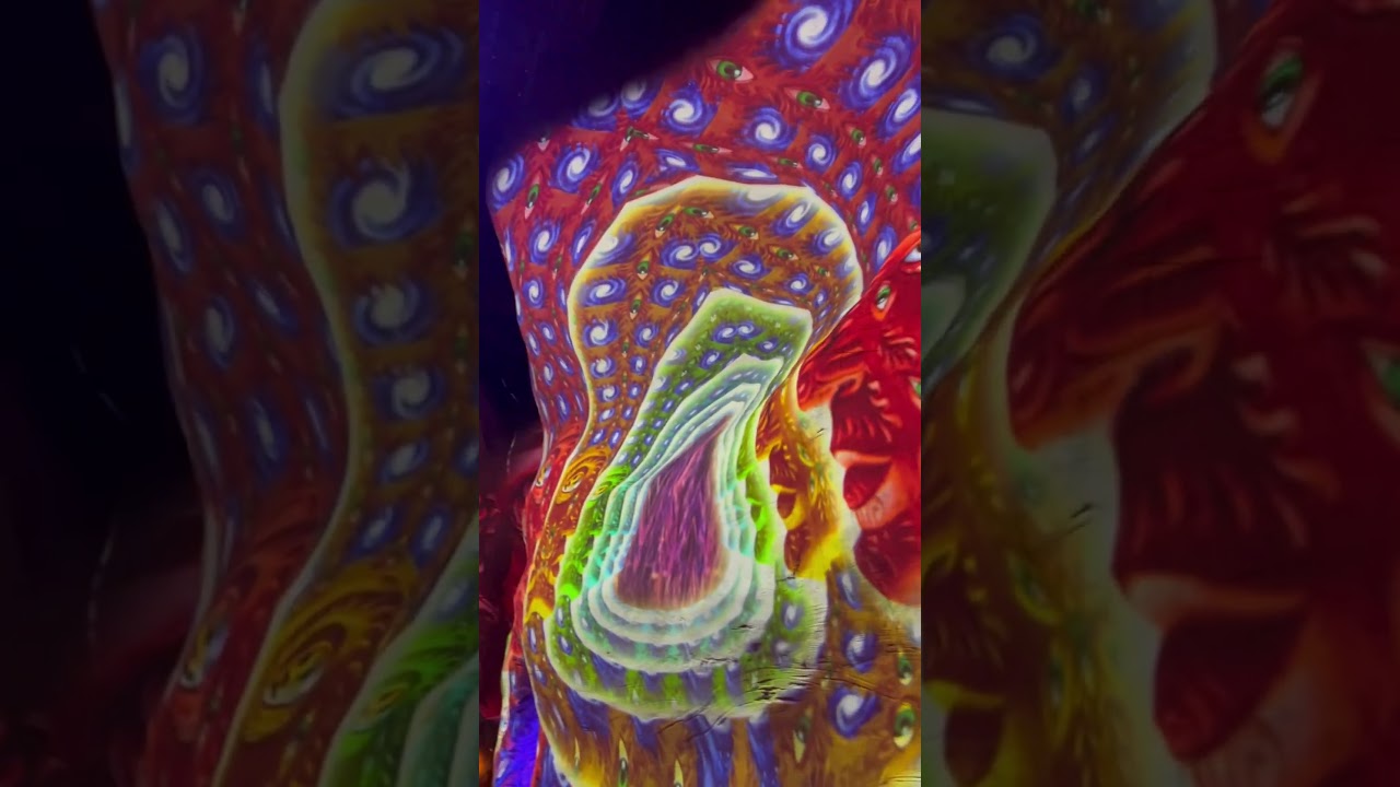 SCN Eyes Up Immersive Technology at Meow Wolf in Las Vegas. - YouTube