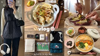 vlog》1人の時間を大切にする社会人の日常🌿☕️｜自炊記録、水餃子のレシピ、セルフネイル🎀レシピ本のおしらせ