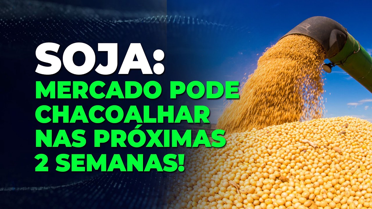 SOJA: MERCADO PODE CHACOALHAR NAS PRÓXIMAS 2 SEMANAS! AGUARDE!