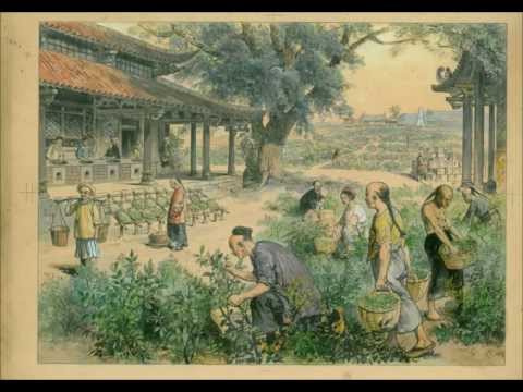 Tea Music - Mountains Of Assam