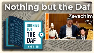 חזארה - זבכים דף 40 | "Nothing But the Daf" עם הרב אלי סטפנסקי