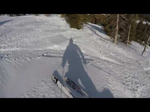 Mammoth 2019 - Sunshine Glades