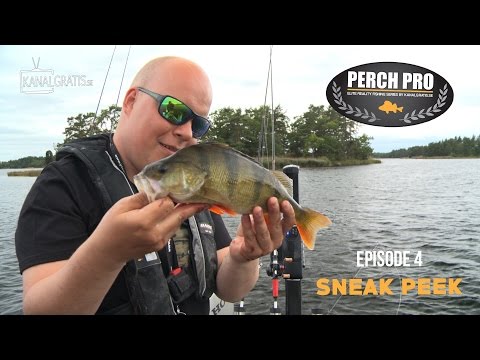 Perch Pro 2017 - Sneak Peek Ep. 4 - Kanalgratis.se