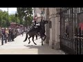 Royal Guard horse falls |Queen Guard  | London 2022 | UK
