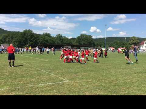 Red Star Penzing U10 Jg 2007 (Chapionstrophy 2017)