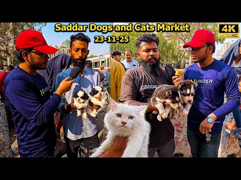 Exotic Dogs and Cats Market Saddar Karachi Latest 23-11-25 Updates | Rare and Unique Dogs and Cats