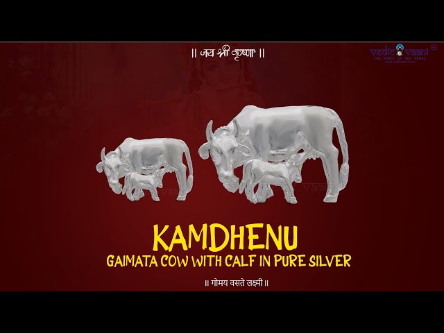 Kamdhenu Gaimata Cow with Calf in Pure Silver video