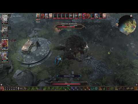 Let's Co-Op Divinity Original Sin 2 - Part 110 The Swallow Man