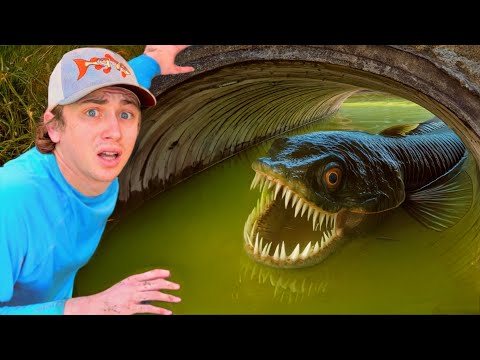 I Found a Monster Living in a Creepy Tunnel!