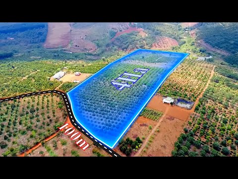 Bán 4ha đất rẫy đẹp Nghĩa Thắng, Đắk R'Lấp, vườn trái cây, giá 4 tỷ