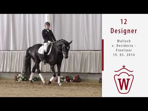 12 Designer Wallach v. Desiderio - Fineliner