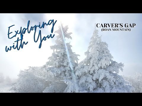 A Winter Wonderland - Carver's Gap (Roan Mountain)