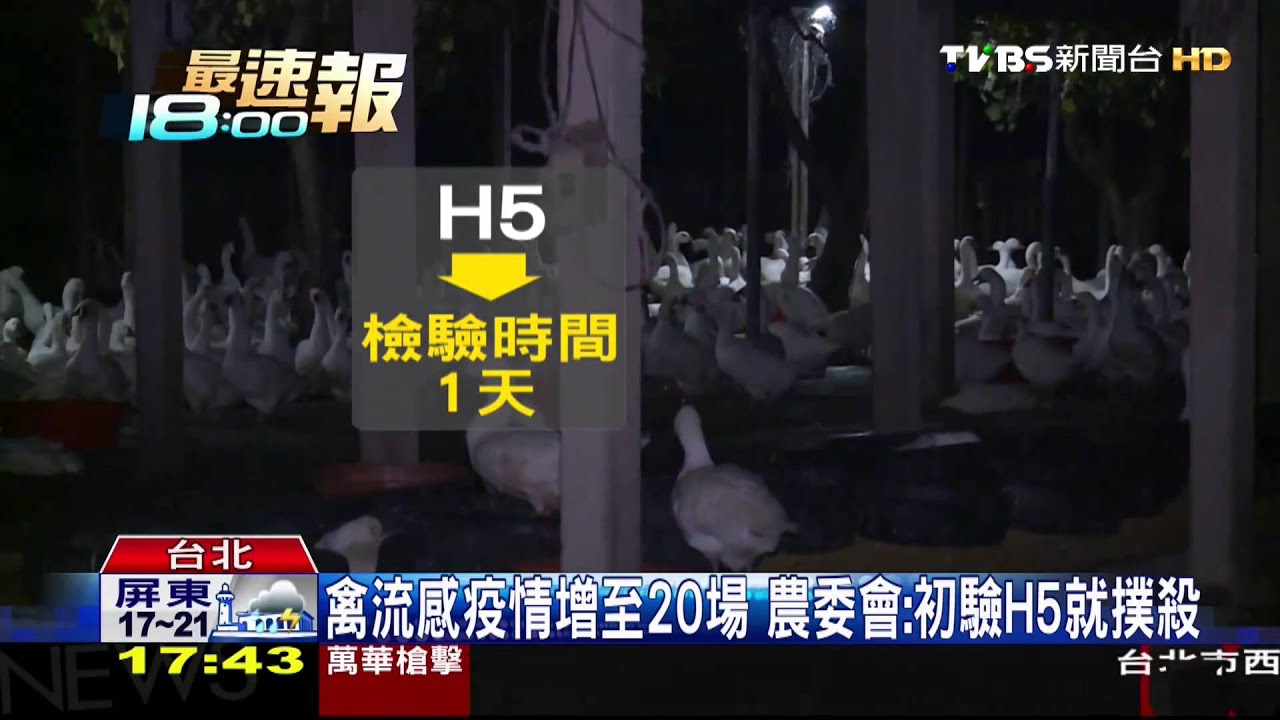 禽流感往北延燒「桃園」 全台20場確診淪陷