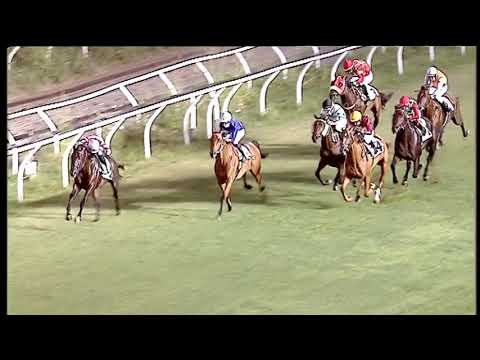 Galoppo 22/07/2020 - 5ª corsa
