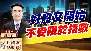 好股又開始不受限於指數｜大戶羅盤籌碼動能 ｜謝宗霖