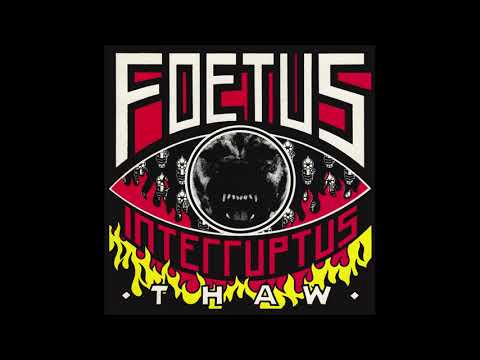 Foetus Interruptus - Thaw (Full album, HQ) 1988